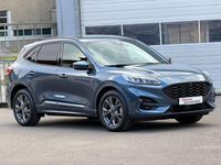 Gebraucht Ford Kuga ST 120 PS (88 kW) 2023 Blau SUV