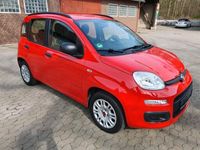 gebraucht Fiat Panda 1,2 1 HAND