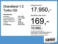 Gebraucht Opel Grandland X 131 PS (96 kW) 2023 Diamant schwarz SUV