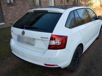 Gebraucht Skoda Rapid Drive 110 PS (80 kW) 2017 Weiß Kleinwagen