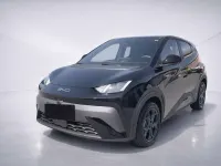 Neu BYD Dolphin Surf Boost 64 kW (88 PS) 2025 Polar night black Kleinwagen