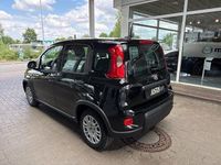 Gebraucht Fiat Panda 69 PS (50 kW) 2024 Schwarz Kleinwagen