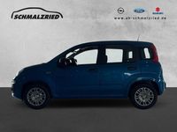 Neu Fiat Panda 69 PS (50 kW) 2025 Blau Kleinwagen