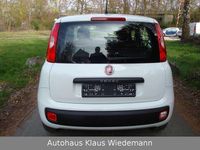 Gebraucht Fiat Panda Easy 69 PS (50 kW) 2017 Gelato  weiß Kleinwagen