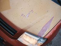 Gebraucht Fiat Panda 60 PS (44 kW) 2007 Orange Kleinwagen