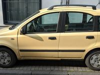 gebraucht Fiat Panda ZylKopfdichtung defekt, HU 12/25, 185 tKm