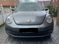 gebraucht VW Beetle New