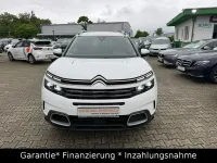 Gebraucht Citroën C5 Feel 131 PS (96 kW) 2019 Weiß Limousine