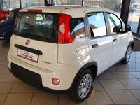 Gebraucht Fiat Panda 71 PS (52 kW) 2024 296 / gelato weiß Kleinwagen