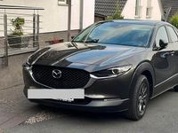 Gebraucht Mazda CX-30 116 PS (85 kW) 2020 Braun SUV