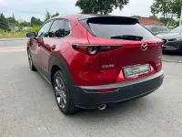 Gebraucht Mazda CX-30 Selection 179 PS (131 kW) 2019 Magmarot (metallic) SUV