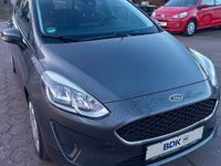 Gebraucht Ford Fiesta Cool & Connect 95 PS (69 kW) 2020 Magneticgrau Kleinwagen