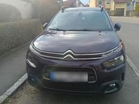 Gebraucht Citroën C4 Cactus Shine 136 PS (100 kW) 2018 Violet Kleinwagen