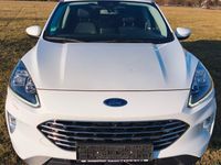 Gebraucht Ford Kuga Titanium X 150 PS (110 kW) 2020 Weiß SUV