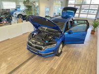 Neu Skoda Octavia Joy 150 PS (110 kW) 2025 Blau Kombi
