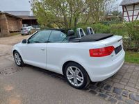 gebraucht Audi A3 Cabriolet TDI 2.0 Ambition