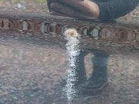 Gebraucht Kia Ceed 126 PS (92 kW) 2009 Schwarz Kleinwagen