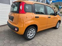 Gebraucht Fiat Panda Easy 69 PS (50 kW) 2020 Colore esterno (orange) Kleinwagen