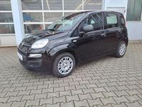 Gebraucht Fiat Panda 69 PS (50 kW) 2025 Schwarz Kleinwagen