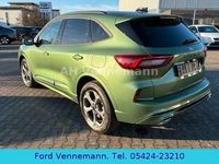Neu Ford Kuga ST-Line 186 PS (136 kW) 2025 Grün SUV