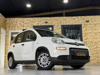 Gebraucht Fiat Panda 71 PS (52 kW) 2023 Weiß Kleinwagen