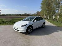 Occasion Tesla Model Y Standard Range 220 kW (300 ch) 2023 Blanc SUV