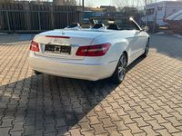 Gebraucht Mercedes E200 Elegance 184 PS (135 kW) 2013 Weiß Cabrio