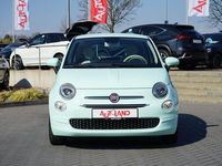 Gebraucht Fiat 500 69 PS (50 kW) 2019 Lattementa grün Kleinwagen
