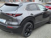Neu Mazda CX-30 140 PS (102 kW) 2025 Grau SUV