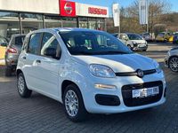 Neu Fiat Panda 69 PS (50 kW) 2025 Weiß Limousine