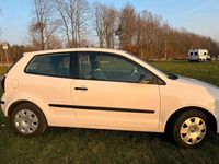 Gebraucht VW Polo 69 PS (50 kW) 2009 Weiß Kleinwagen