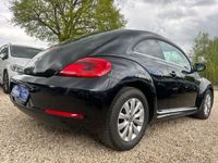 gebraucht VW Beetle DSG Klima*StandHz.*Tempo*SitzHz.*PDC