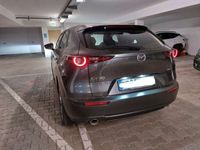 gebraucht Mazda CX-30 2.0 SKYACTIV-X M-Hybrid Edition 100 Ed...