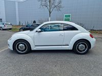 gebraucht VW Beetle  Design BMT Klima SHZ PDC 1Hand Neu Tuv