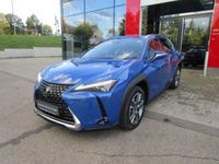 gebraucht Lexus UX Luxury Line