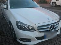 Gebraucht Mercedes E220 170 PS (125 kW) 2013 Weiß Kombi