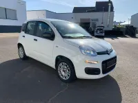 Occasion Fiat Panda Easy 69 ch (50 kW) 2017 Blanc Citadine
