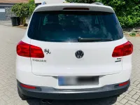 Gebraucht VW Tiguan Sportline 110 PS (80 kW) 2013 Weiß SUV