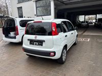 Gebraucht Fiat Panda Pop 69 PS (50 kW) 2019 Weiß Kleinwagen