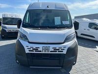 Neu Fiat Ducato 140 PS (102 kW) 2025 Weiss (pastell)) (weiss Van
