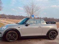 Gebraucht Mini Cooper Cabriolet 98 PS (72 kW) 2018 Grau Cabrio