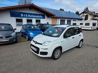 Gebraucht Fiat Panda 69 PS (50 kW) 2013 Weiß Kleinwagen