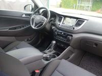 gebraucht Hyundai Tucson 1.6 T-GDI Premium 4WD