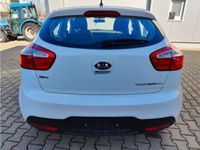 gebraucht Kia Rio Cup