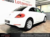 gebraucht VW Beetle Design 1.6 TDI KLIMA|PDC|SHZ|8-Fach ALU