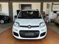 Gebraucht Fiat Panda 69 PS (50 kW) 2013 Weiß Kleinwagen