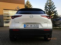 Gebraucht Mazda CX-30 Selection 122 PS (89 kW) 2020 Weiß SUV