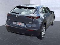 Gebraucht Mazda CX-30 Selection 150 PS (110 kW) 2021 Poly SUV