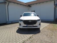 Gebraucht Mazda CX-80 Homura-Line 254 PS (186 kW) 2024 SUV