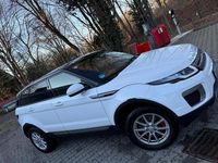 Gebraucht Land Rover Range Rover evoque 150 PS (110 kW) 2016 Weiß SUV